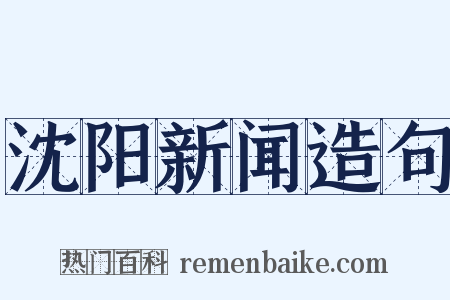 沈阳新闻造句是什么意思的图片